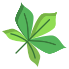 Horse Chestnut Leaf icon