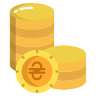 Hryvnia icon