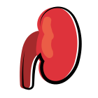 Kidney icon