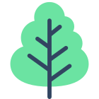 Oak Tree icon