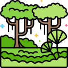 Rainforest icon