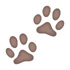 Paw Prints icon