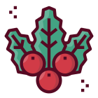 Mistletoe icon