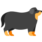 cane grasso icon