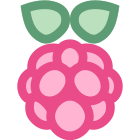 Raspberry Pi icon