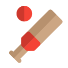 Cricket outdoor sports with bat and ball icon