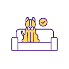 Dog Sitting On Couch icon