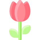 Tulipano icon