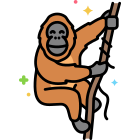 Orang-outan icon