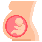 怀孕的 icon