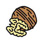 Walnut icon