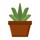 Aloe Vera icon