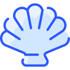 Ракушка icon