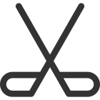 Eishockey icon