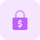 Secure online payment ssl protection, money security icon