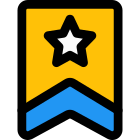 High rank police officer badge with star and stripe icon