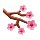 Kirschblüte icon