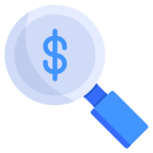 Search Money icon