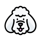 Poodle icon