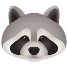 Raccoon icon