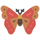 Moth icon