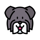 Miniature Schnauzer icon