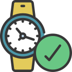 Correct Time icon