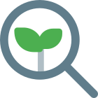 Organic Search icon