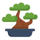 Bonsai icon