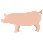 Schwein icon