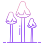 Trippy Mushrooms icon