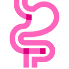 胃肠道 icon