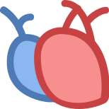 Corazón médico icon