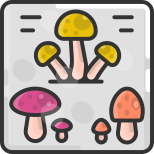 mushrooms icon