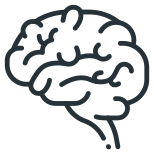 Brain icon