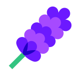 라벤더 icon