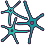 Nervous System icon