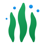 Algae icon