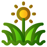 Blume icon