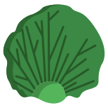 Radicchio Leaf icon