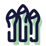 Asparagus icon