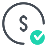Cheque dolar icon