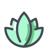 Lotus icon