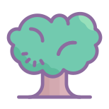 Oak Tree icon