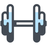 Dumbbell icon