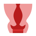 Gebärmutterhals icon