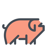 Cerdo icon