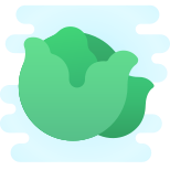 Cabbage icon