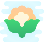 Blumenkohl icon