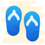 Flip Flops icon